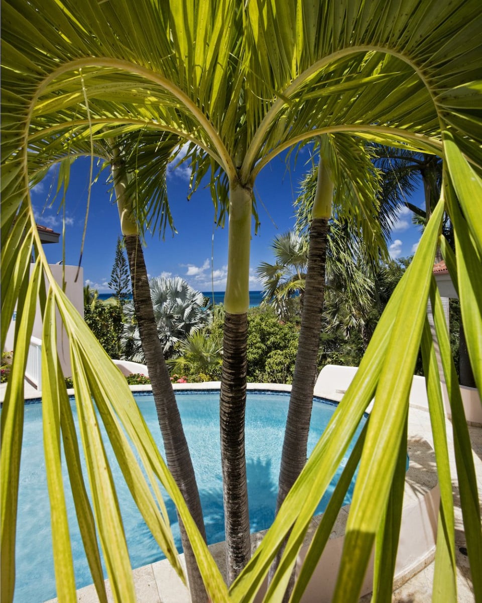 property image # 1